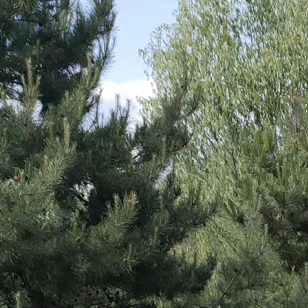 人生最低谷时期，负债累累的时候，你是怎么熬过来的？-京牌企服